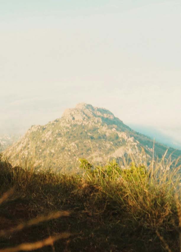 Real estate in Tiruvannamalai